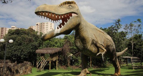 Hospedagem no Ecologic Ville Resort | Caldas Novas GO